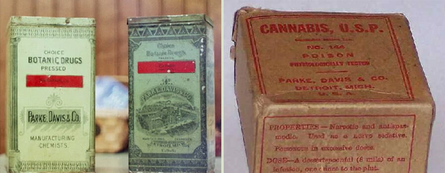 Emballage de cannabis vintage de Parke, Davis & Co. du 19e siècle. Montre l'emballage pharmaceutique précoce avant la réglementation du cannabis.