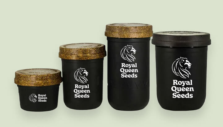 Contenants modernes de Royal Queen Seeds de différentes tailles. Illustre comment l'emballage du cannabis a évolué pour mieux préserver la qualité du produit.