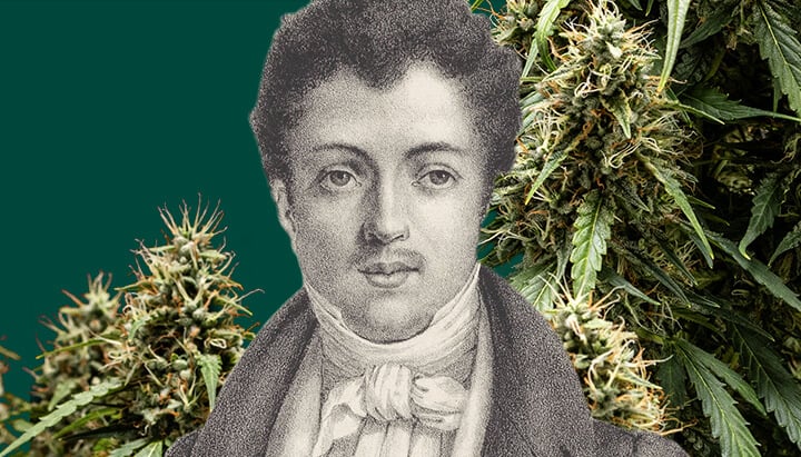 Portrait en noir et blanc d'Alexandre Dumas avec un fond vert, entouré de plantes de cannabis autour du célèbre écrivain.