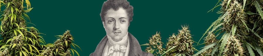 Portrait en noir et blanc d'Alexandre Dumas avec un fond vert, entouré de plantes de cannabis autour du célèbre écrivain.