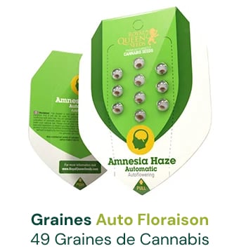 graines-autofloraison-cannabis