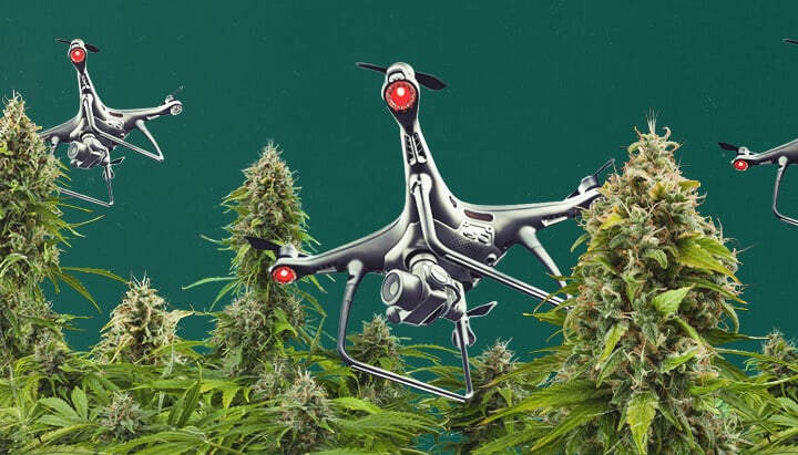 Un drone équipé de technologie de surveillance survolant une zone de culture de cannabis en extérieur, illustrant les défis de la surveillance par drone du cannabis et les stratégies évolutives que les cultivateurs doivent adopter pour protéger leurs récoltes de la détection.