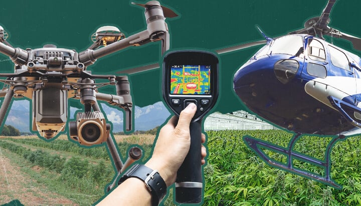 Un drone capturant des images aériennes d'une opération de culture de cannabis en extérieur, illustrant les défis et les techniques de surveillance aérienne utilisées pour détecter la culture illicite de cannabis dans des zones rurales et cachées.