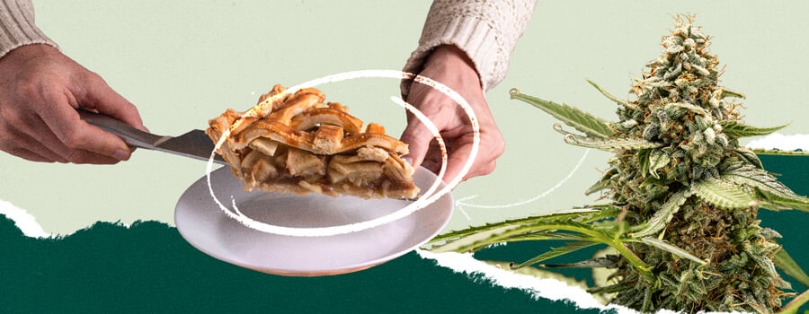 Une personne coupant une tranche de tarte aux pommes, combinée dans un collage avec une image d'une plante de cannabis. Représentation visuelle pour les thèmes culinaires et cannabis.