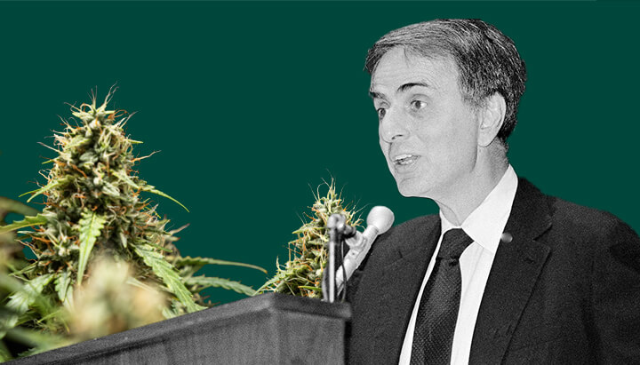 Un portrait détaillé de Carl Sagan parlant dans un microphone, sur un fond vert avec des plantes de cannabis vibrantes et luxuriantes.