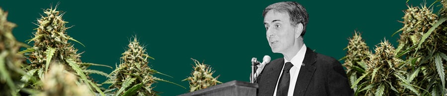 Un portrait détaillé de Carl Sagan parlant dans un microphone, sur un fond vert avec des plantes de cannabis vibrantes et luxuriantes.