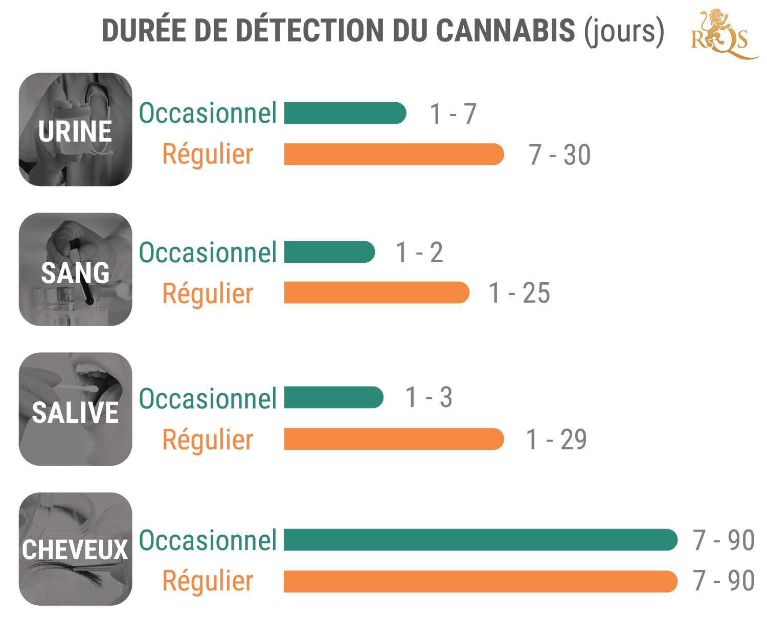 Test salivaire THC (cannabis) de drivecase : comment l'utiliser ? 
