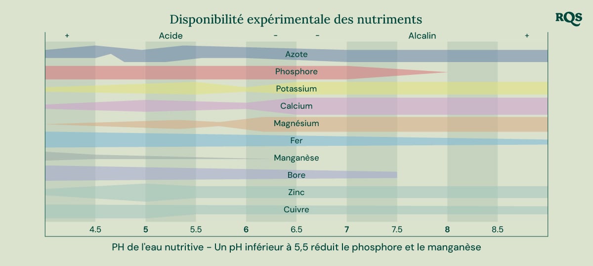 Graphique en barres illustrant comment le pH du sol affecte la disponibilité des nutriments pour les plantes. L'axe des x varie de pH 4,5 à 8,5, tandis que l'axe des y représente la disponibilité relative des nutriments. Les nutriments affichés incluent l'azote, le phosphore, le potassium, le calcium, le magnésium, le fer, le manganèse, le bore, le zinc et le cuivre.