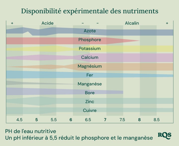 Graphique en barres illustrant comment le pH du sol affecte la disponibilité des nutriments pour les plantes. L'axe des x varie de pH 4,5 à 8,5, tandis que l'axe des y représente la disponibilité relative des nutriments. Les nutriments affichés incluent l'azote, le phosphore, le potassium, le calcium, le magnésium, le fer, le manganèse, le bore, le zinc et le cuivre.