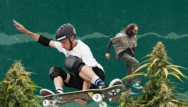 Croisement entre la culture du cannabis et le skateboard.