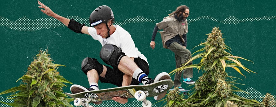 Croisement entre la culture du cannabis et le skateboard.