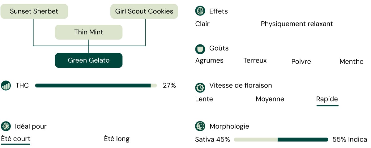 Green Gelato Characteristics