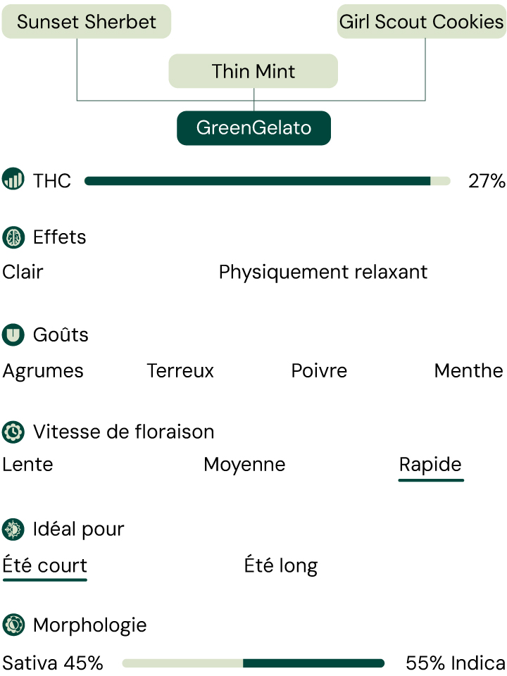 Green Gelato Characteristics