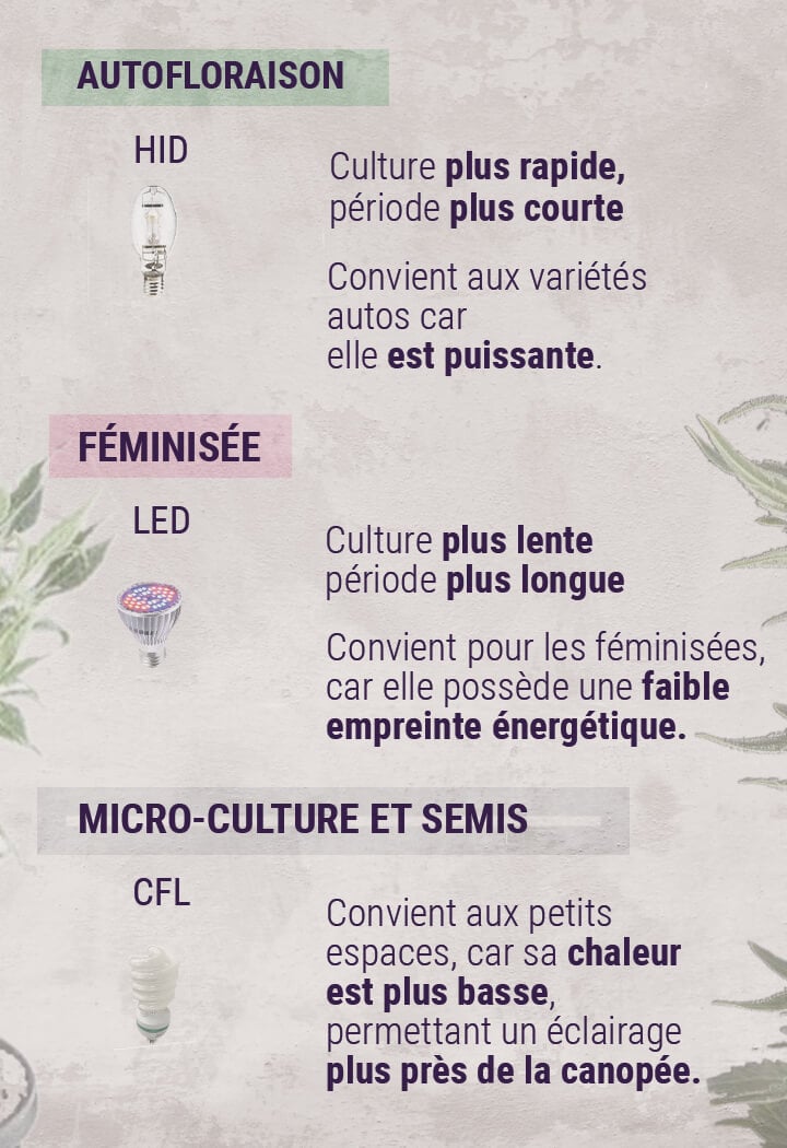 La Distance Optimale Entre Les Lampes De Culture Et Les Plants - Zamnesia  Blog