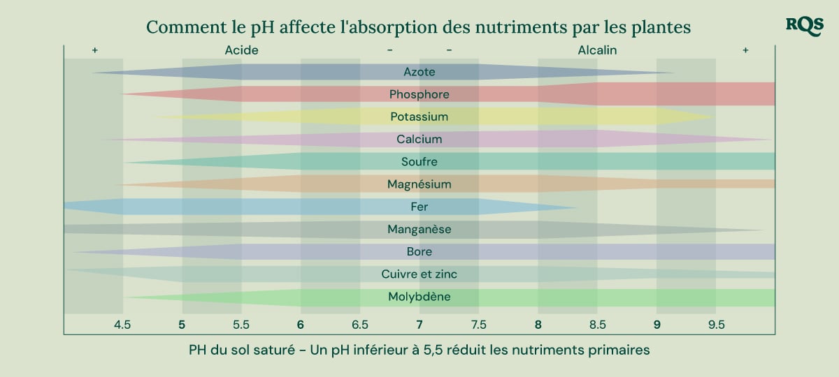 Graphique en barres montrant comment le pH du sol (allant de 4,5 à 9,5) impacte la disponibilité des nutriments tels que l'azote, le phosphore, le potassium, le calcium, le soufre, le magnésium, le fer, le manganèse, le bore, le cuivre, le zinc et le molybdène.