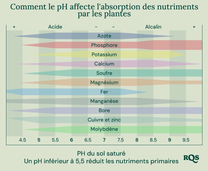 Graphique en barres montrant comment le pH du sol (allant de 4,5 à 9,5) impacte la disponibilité des nutriments tels que l'azote, le phosphore, le potassium, le calcium, le soufre, le magnésium, le fer, le manganèse, le bore, le cuivre, le zinc et le molybdène.