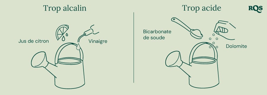 Guide pour ajuster le pH du sol : citron et vinaigre pour augmenter le pH ('Trop alcalin'), bicarbonate de soude et dolomite pour abaisser le pH ('Trop acide'). 