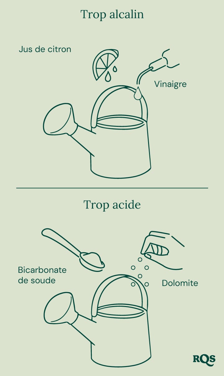 Guide pour ajuster le pH du sol : citron et vinaigre pour augmenter le pH ('Trop alcalin'), bicarbonate de soude et dolomite pour abaisser le pH ('Trop acide').