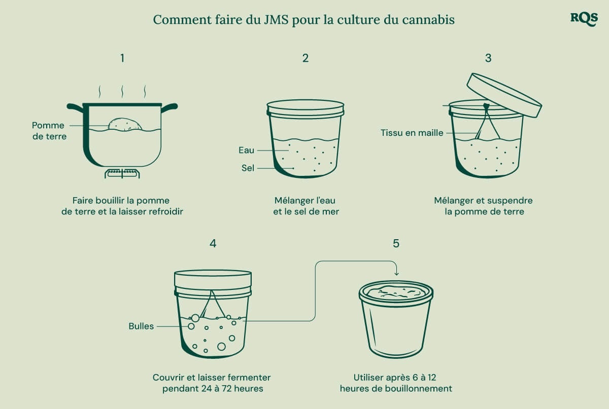 Un guide étape par étape pour fabriquer un engrais à base de pommes de terre pour les plants de cannabis.