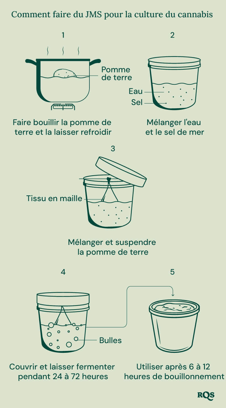 Un guide étape par étape pour fabriquer un engrais à base de pommes de terre pour les plants de cannabis.