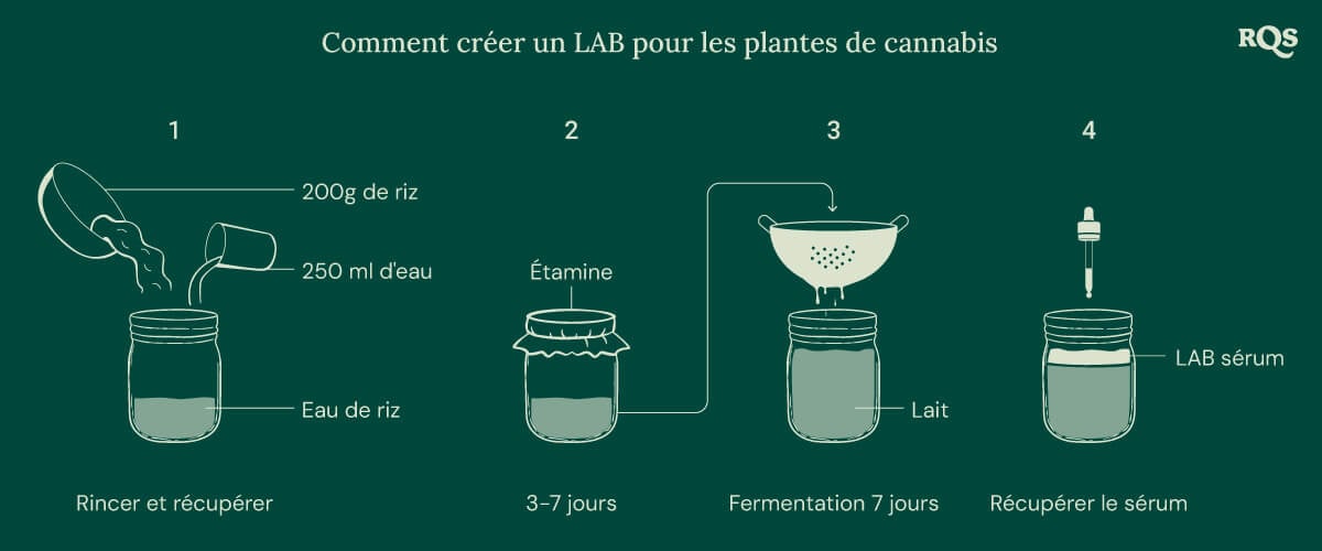 How to make LAB for weed plants