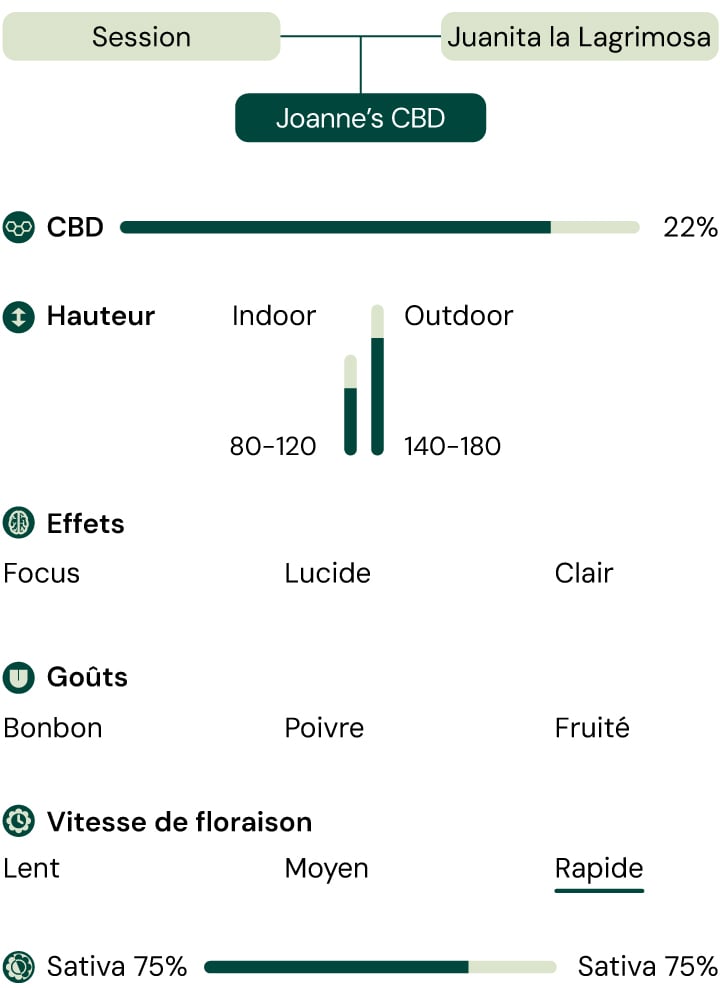 Joanne's  CBD Characteristics