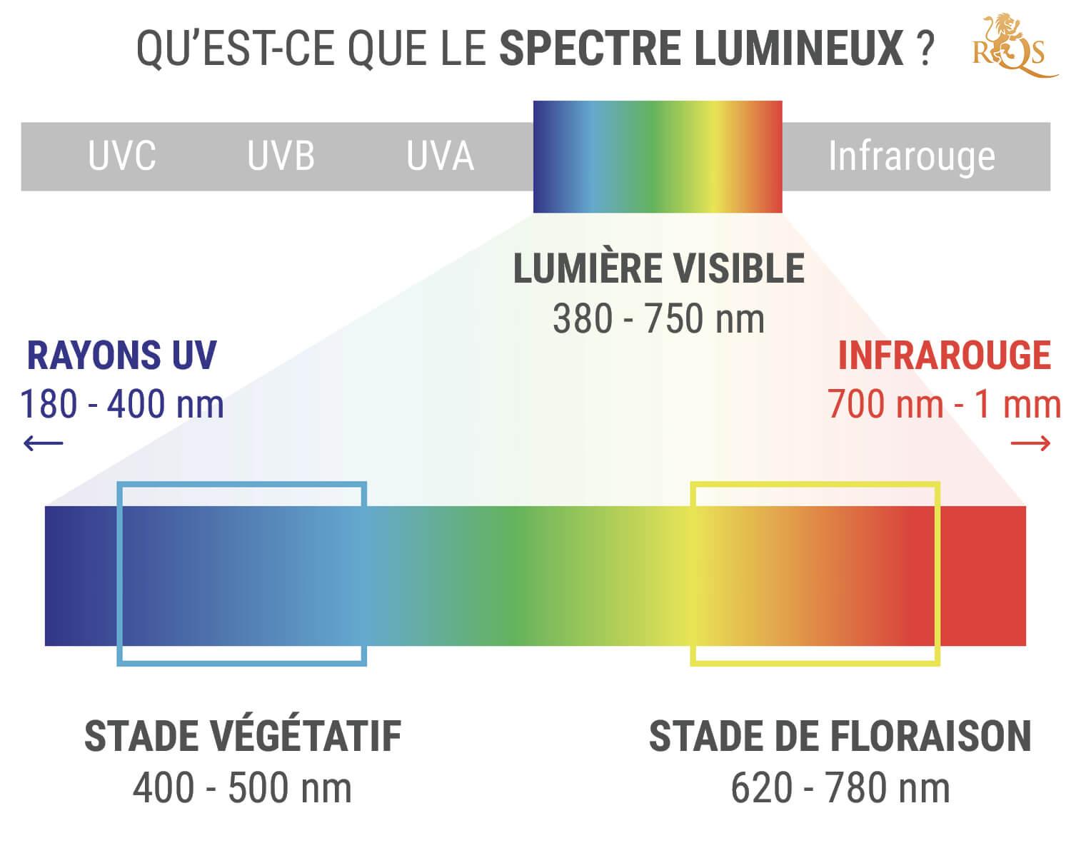 Température de Couleur des LED : Qu'est-ce que c'est ?