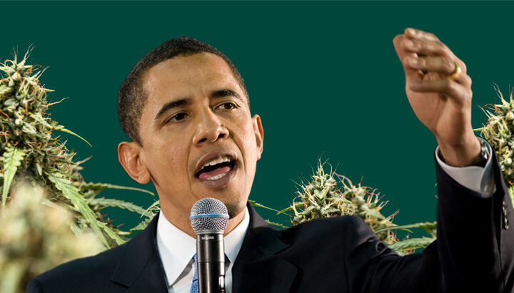 Un portrait de Barack Obama parlant dans un microphone avec la main levée, sur un fond vert avec des plantes de cannabis.