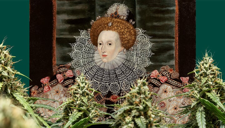 Un portrait coloré de la Reine Elizabeth I, centré et encadré par des plantes de cannabis avec des bourgeons denses, sur un fond vert foncé.