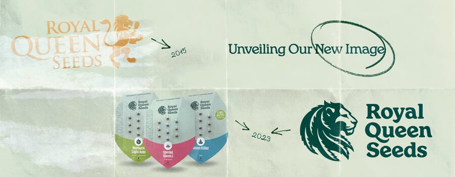 Évolution du logo de Royal Queen Seeds de 2015 à 2024, montrant le logo d'origine en or avec un lion et le logo mis à jour en vert avec un design moderne de lion. L'image présente également le nouvel emballage des graines de l'entreprise.