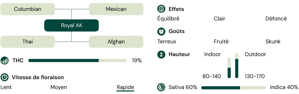 Royal AK Characteristics