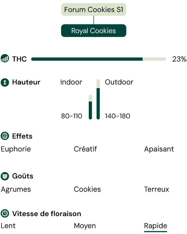 Royal Cookies Strain Characteristics