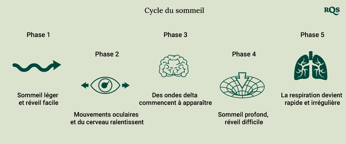 Sleep Cycle