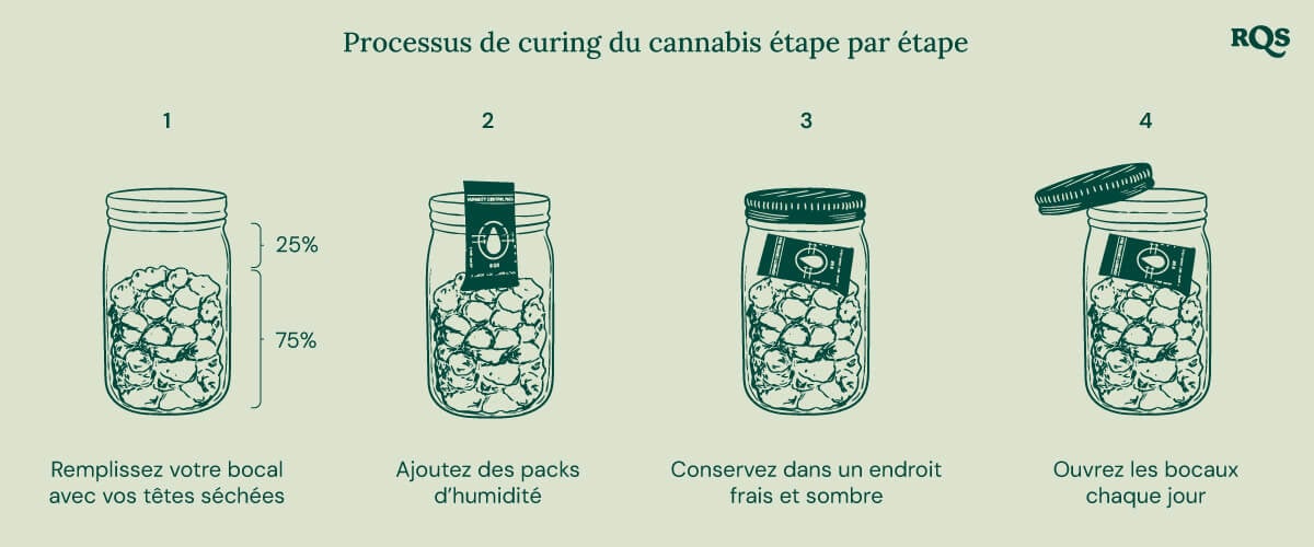 Guide en quatre étapes pour le curage du cannabis. 1: Remplissez votre bocal avec des têtes séchées (75% rempli). 2: Ajoutez des sachets d'humidité pour réguler l'humidité. 3: Conservez le bocal dans un endroit frais et sombre. 4: Ouvrez le bocal quotidiennement pour laisser respirer les têtes.