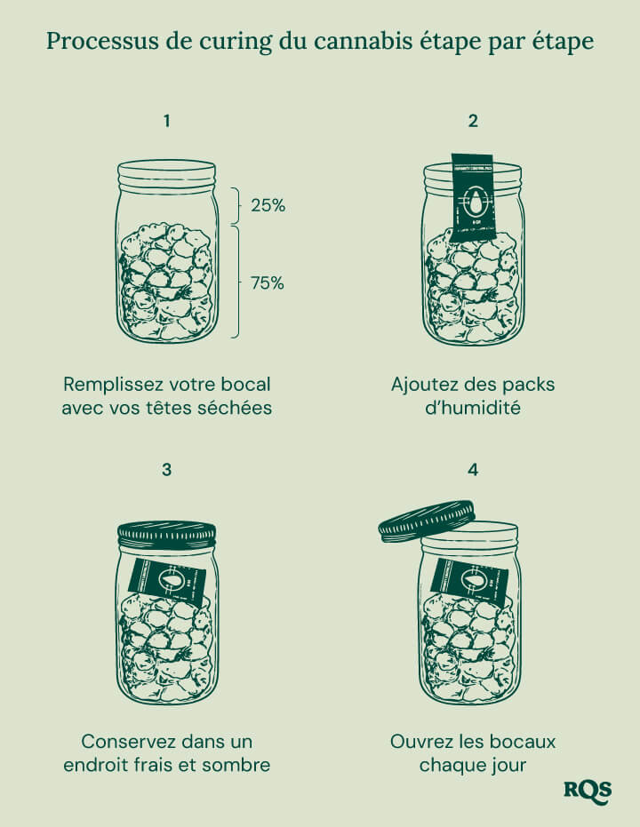 Guide en quatre étapes pour le curage du cannabis. 1: Remplissez votre bocal avec des têtes séchées (75% rempli). 2: Ajoutez des sachets d'humidité pour réguler l'humidité. 3: Conservez le bocal dans un endroit frais et sombre. 4: Ouvrez le bocal quotidiennement pour laisser respirer les têtes.