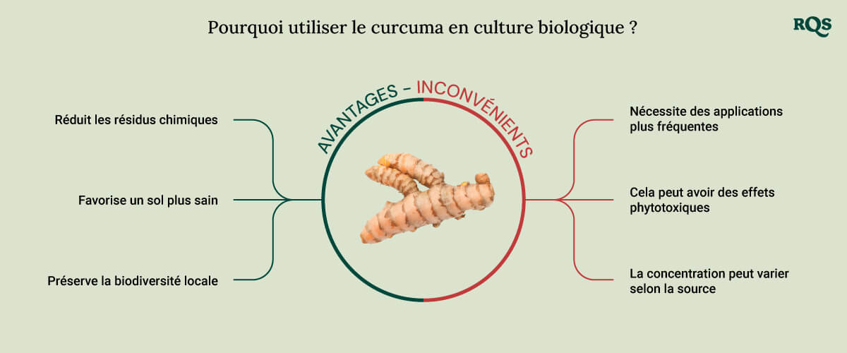 Tumeric for cultivation