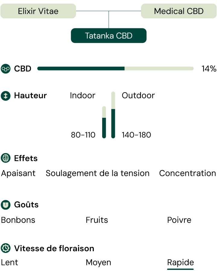 Diagramme des caractéristiques de Tatanka CBD : effets, saveurs, teneur en CBD, hauteur, vitesse de floraison et environnement de culture