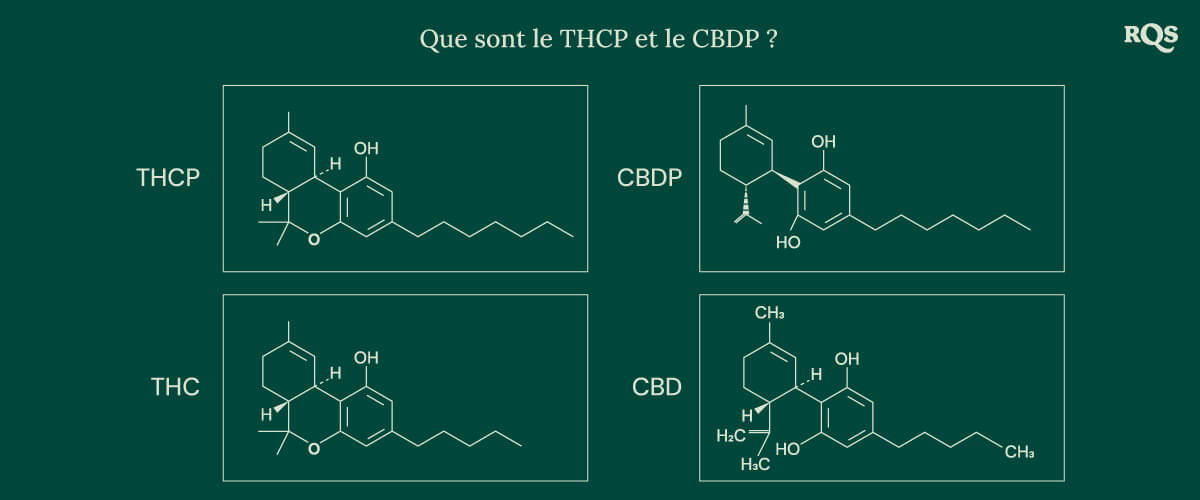 Structures chimiques de quatre cannabinoïdes : THCP, CBDP, THC et CBD, incluant les récemment découverts THCP et CBDP.