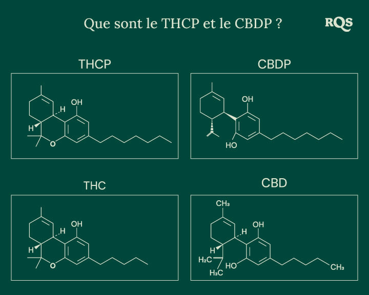 Structures chimiques de quatre cannabinoïdes : THCP, CBDP, THC et CBD, incluant les récemment découverts THCP et CBDP.