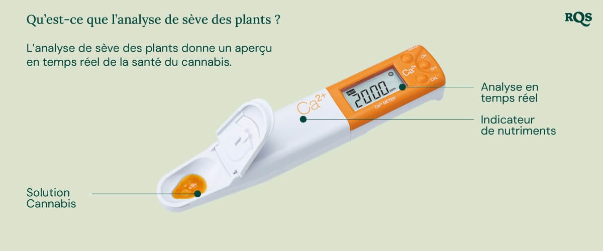 "Un analyseur de sève de plante blanc avec une pelle jaune est utilisé pour mesurer les niveaux de nutriments dans une plante de cannabis. L'appareil analyse les niveaux de calcium, de magnésium et de potassium, aidant les cultivateurs à optimiser la nutrition et la santé des plantes.  "