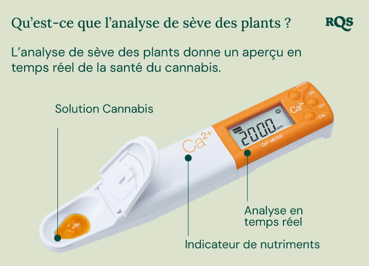 "Un analyseur de sève de plante blanc avec une pelle jaune est utilisé pour mesurer les niveaux de nutriments dans une plante de cannabis. L'appareil analyse les niveaux de calcium, de magnésium et de potassium, aidant les cultivateurs à optimiser la nutrition et la santé des plantes.  "