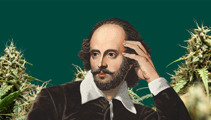 Portrait de William Shakespeare, la main sur la tempe, entouré de plantes de cannabis luxuriantes sur un fond vert foncé.