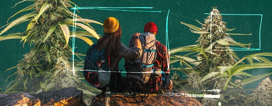 Deux personnes assises sur un rocher entourées par la nature, avec des gros plans de plants de cannabis de chaque côté, mettant en valeur leurs feuilles et bourgeons détaillés.