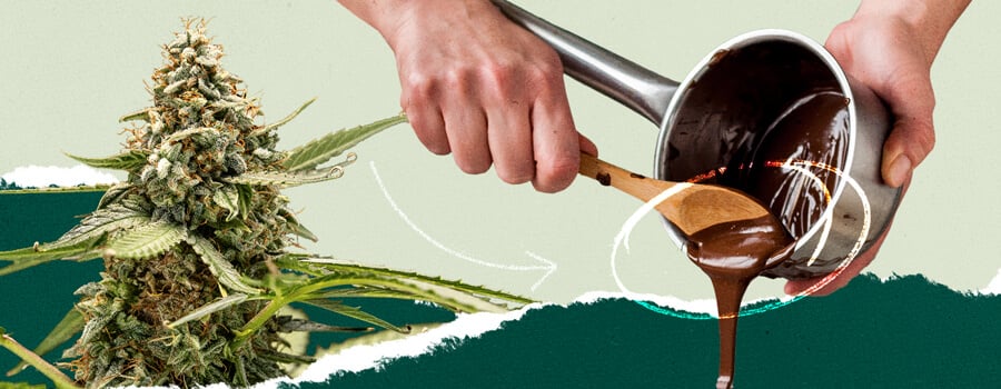 Une personne remuant une casserole de chocolat fondu, collée avec une image d'une plante de cannabis pour un contraste visuel.