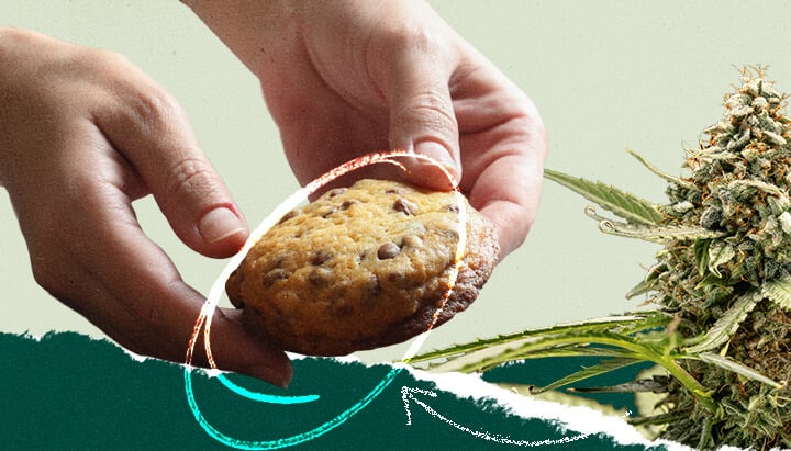 Collage montrant une personne tenant un cookie aux pépites de chocolat à côté d'une image d'une plante de cannabis.