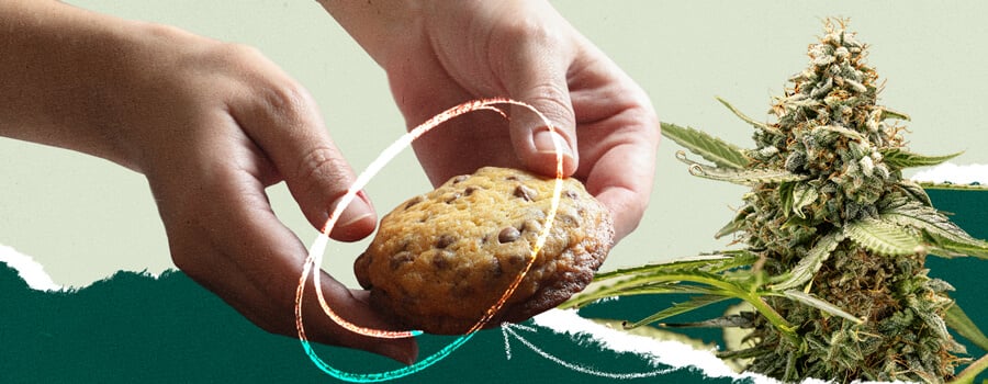 Collage montrant une personne tenant un cookie aux pépites de chocolat à côté d'une image d'une plante de cannabis.