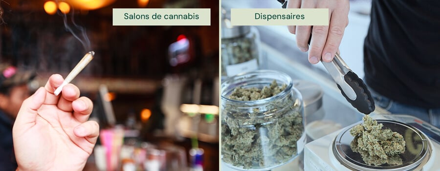 Une image partagée montre une main tenant un joint allumé dans un salon de cannabis à gauche, et une personne utilisant des pinces pour choisir du cannabis dans un bocal dans un dispensaire à droite.