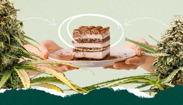 Collage montrant une personne tenant une assiette de tiramisu et un gros plan d'une plante de cannabis, mettant en évidence un concept de mariage unique.