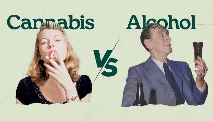 Cannabis vs Alcohol