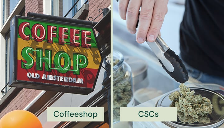 Comparaison côte à côte d’une enseigne de coffeeshop néerlandais indiquant « Coffee Shop Old Amsterdam » et d’une personne manipulant des têtes de cannabis avec des pinces dans un Cannabis Social Club (CSC).